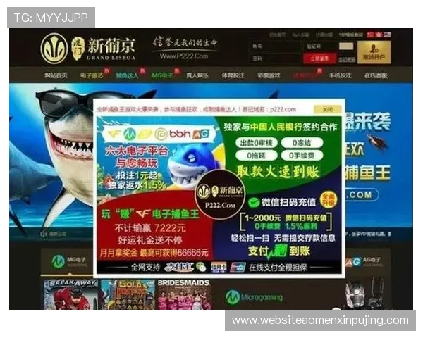 新葡京棋牌技巧攻略分享，帮助新手快速掌握玩法提升胜率赢取更多奖励