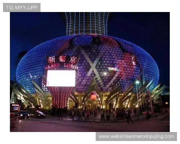 澳门新葡京官网下载最新版本上线，支持多种游戏模式，满足不同玩家的娱乐需求