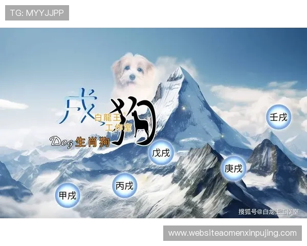 新葡京游戏网址官方入口全面解析2026年最新版本及玩法介绍