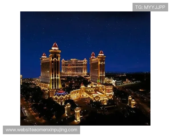 澳门十大娱乐场所法人代表的职责范围与在行业中的领导地位分析