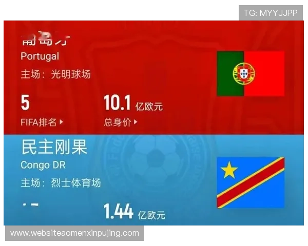 民主刚果与葡萄牙世界杯比赛比分总结，比赛过程中的战术调整与关键时刻分析